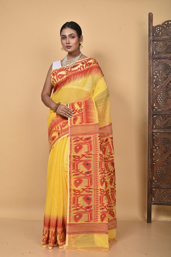 Saree Online Shoot MNF1325 - Image 34