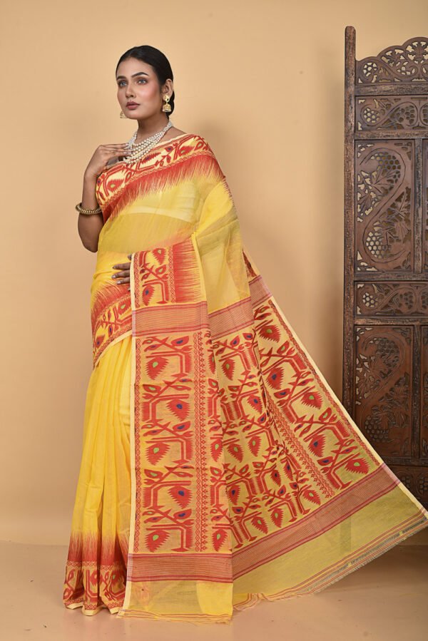 Saree Online Shoot MNF1325 - Image 35