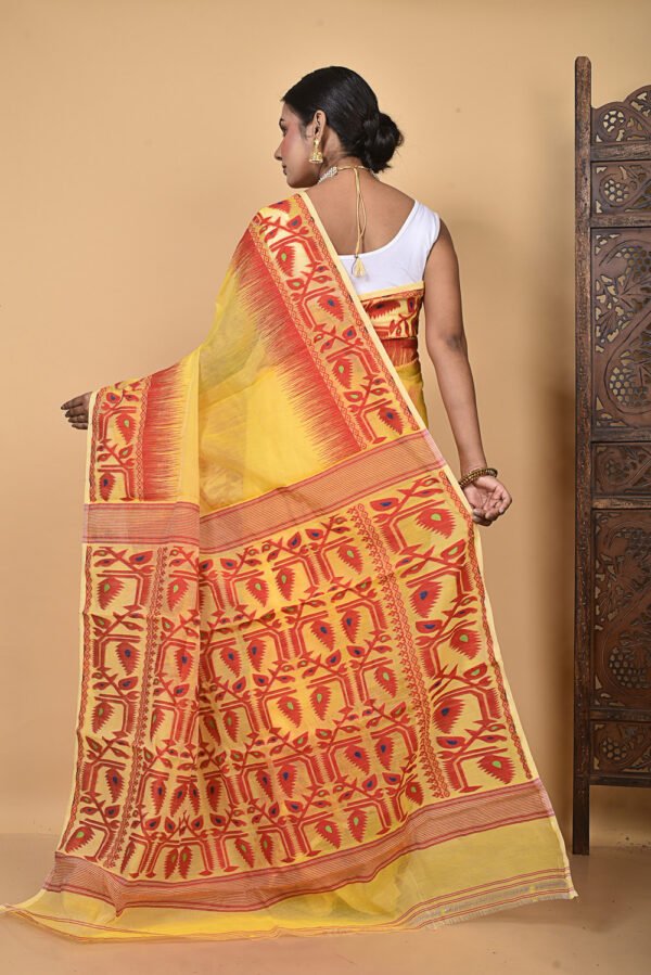 Saree Online Shoot MNF1325 - Image 36