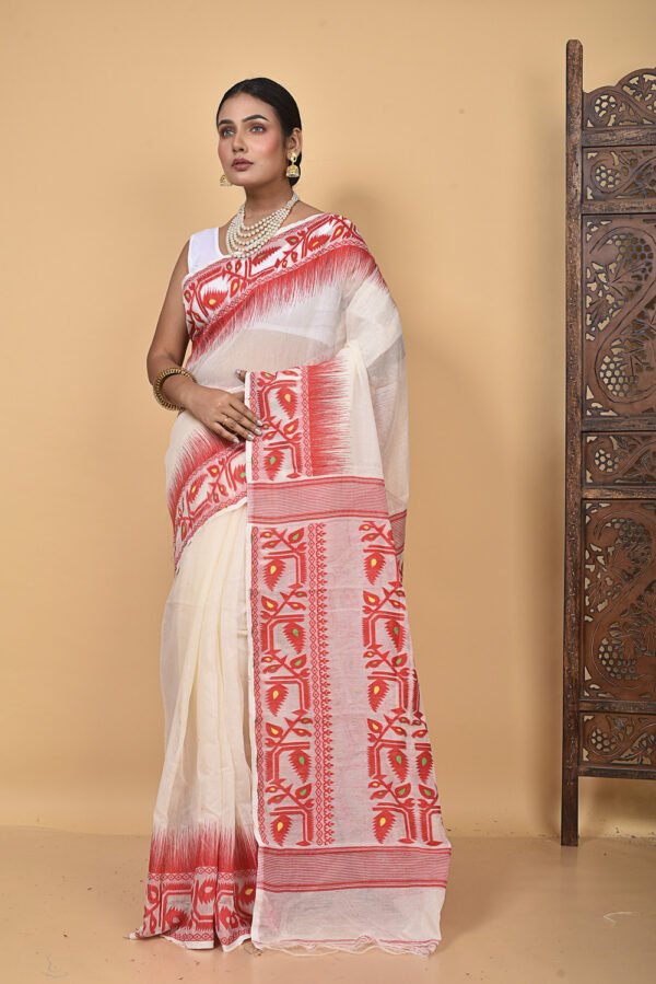 Saree Online Shoot MNF1325 - Image 2