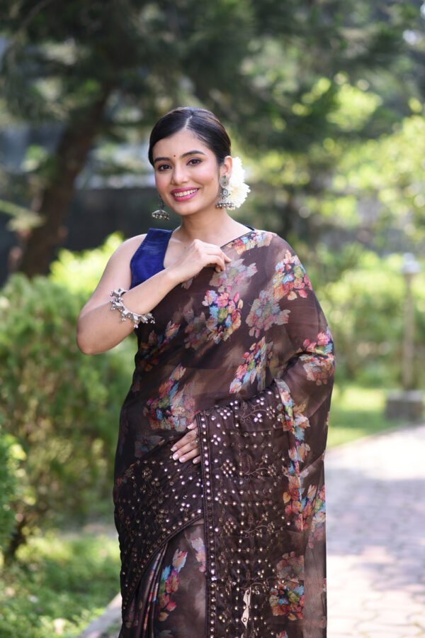 Outdoor Saree Shoot OCTL5025 - Image 34