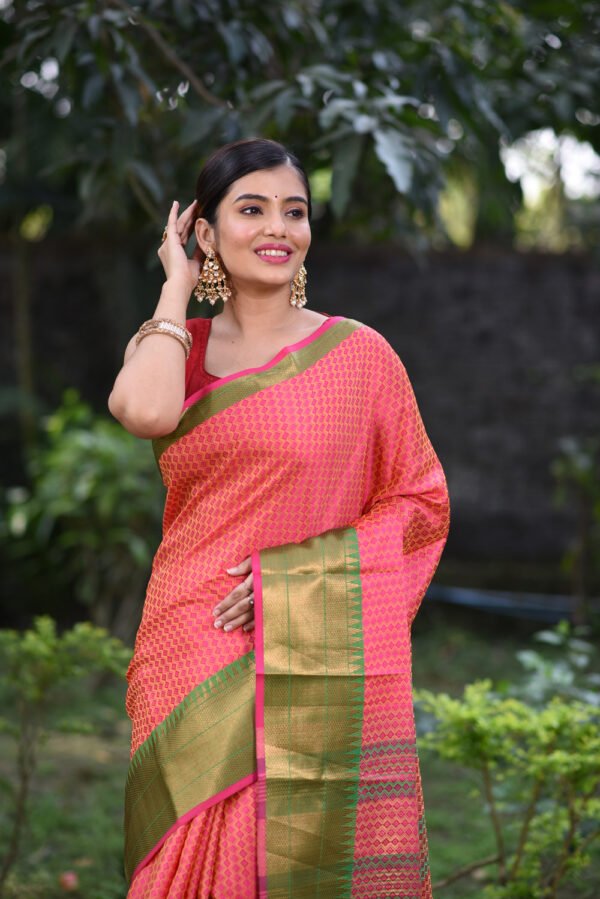 Outdoor Saree Shoot OCTL5025 - Image 26