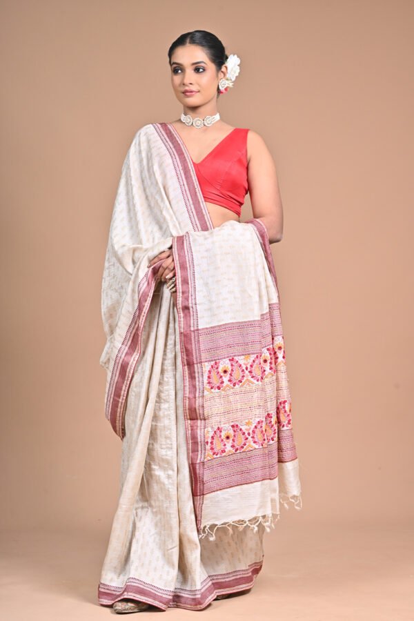 Premium Saree Catalog Shoot – PCL8025  - Image 8
