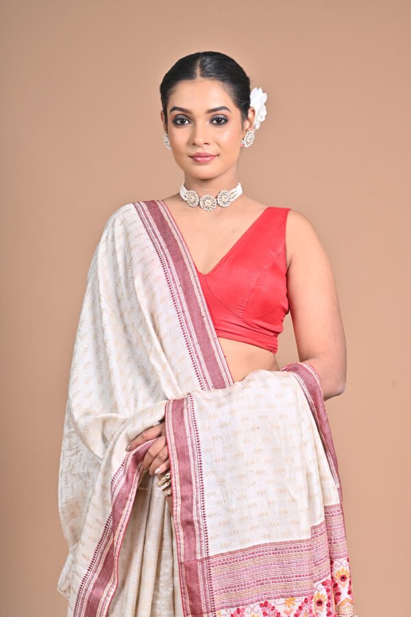 Premium Saree Catalog Shoot – PCL8025  - Image 9
