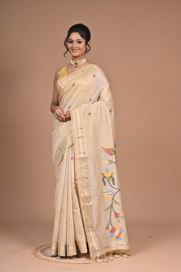 Premium Saree Catalog Shoot – PCL8025  - Image 2