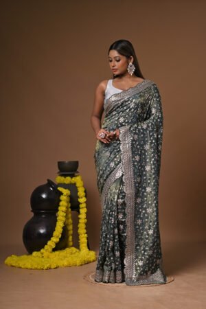 Premium Saree Catalog Shoot VTUS8025